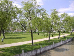 20060511_143555.jpg