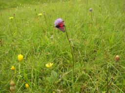 20040815_145536.jpg