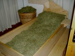 20040815_170347.jpg