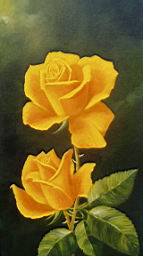 20030907_150709.jpg